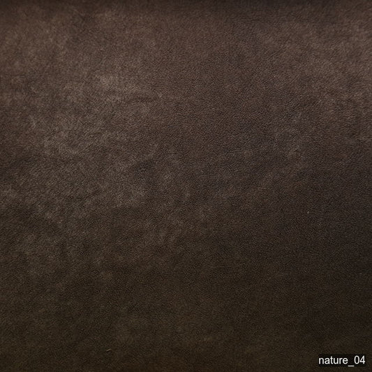 5000 - Nature 04