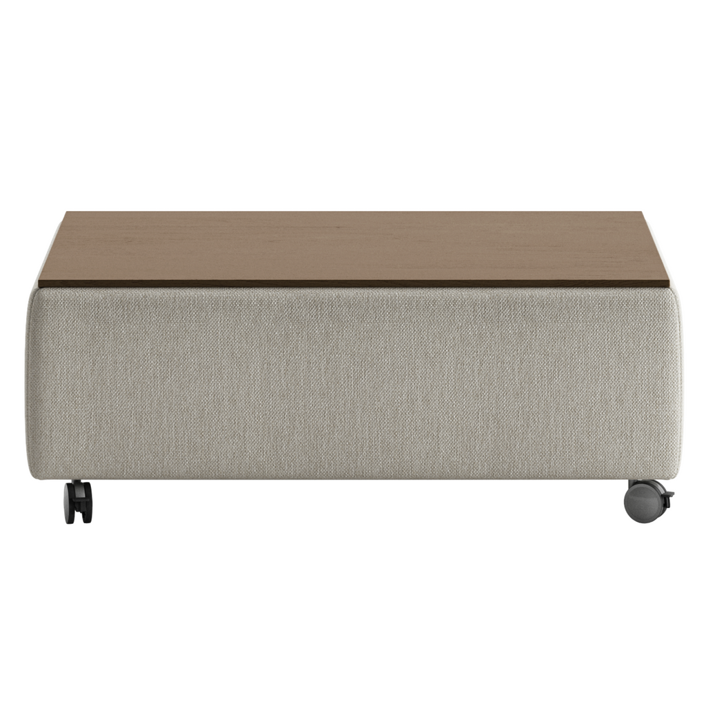 Luonto Functional Coffee Table Quick Ship Program Fun 496 (Warm Light Grey) Closed Front View