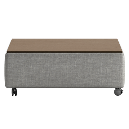 Luonto Functional Coffee Table Quick Ship Program Oliver 173 (Light Grey) Closed