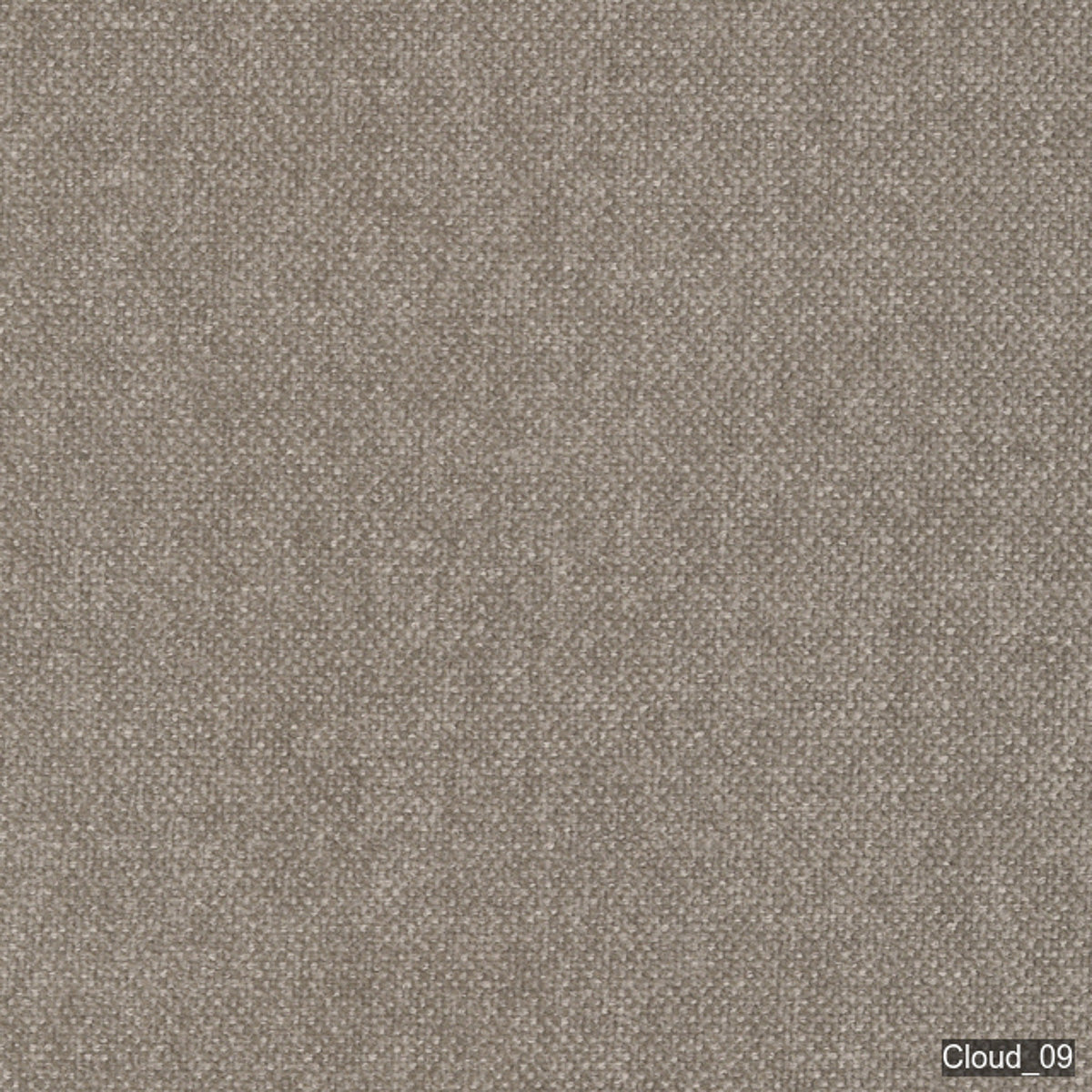 Luonto Cloud 09 Squirrel swatch