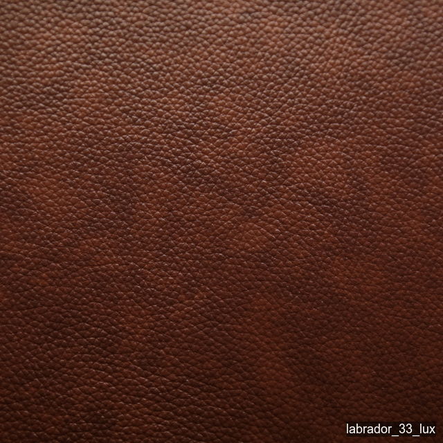Luonto Labrador Lux 33 Bakers swatch