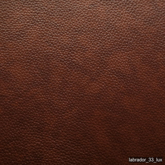 Luonto Labrador Lux 33 Bakers swatch