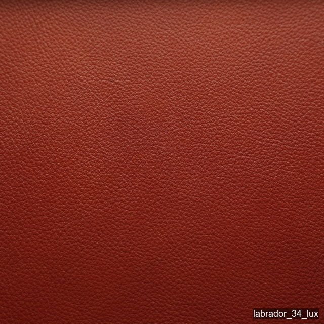 Luonto Labrador Lux 34 Moccaccino swatch