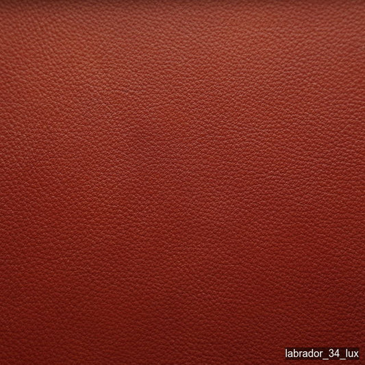Luonto Labrador Lux 34 Moccaccino swatch