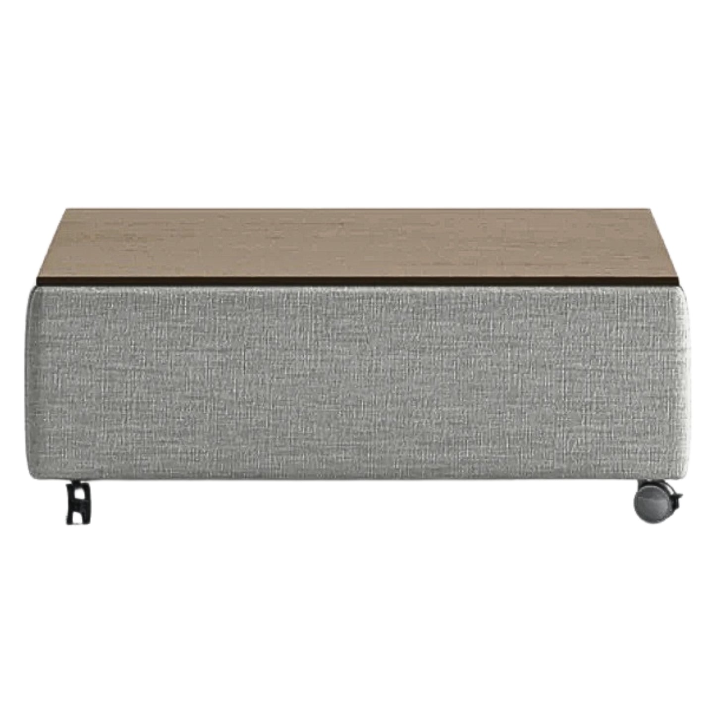 Luonto Functional Coffee Table Quick Ship Program Rene 01 Closed Front View