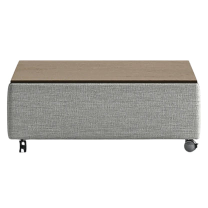 Luonto Functional Coffee Table Quick Ship Program Rene 01 Closed Front View