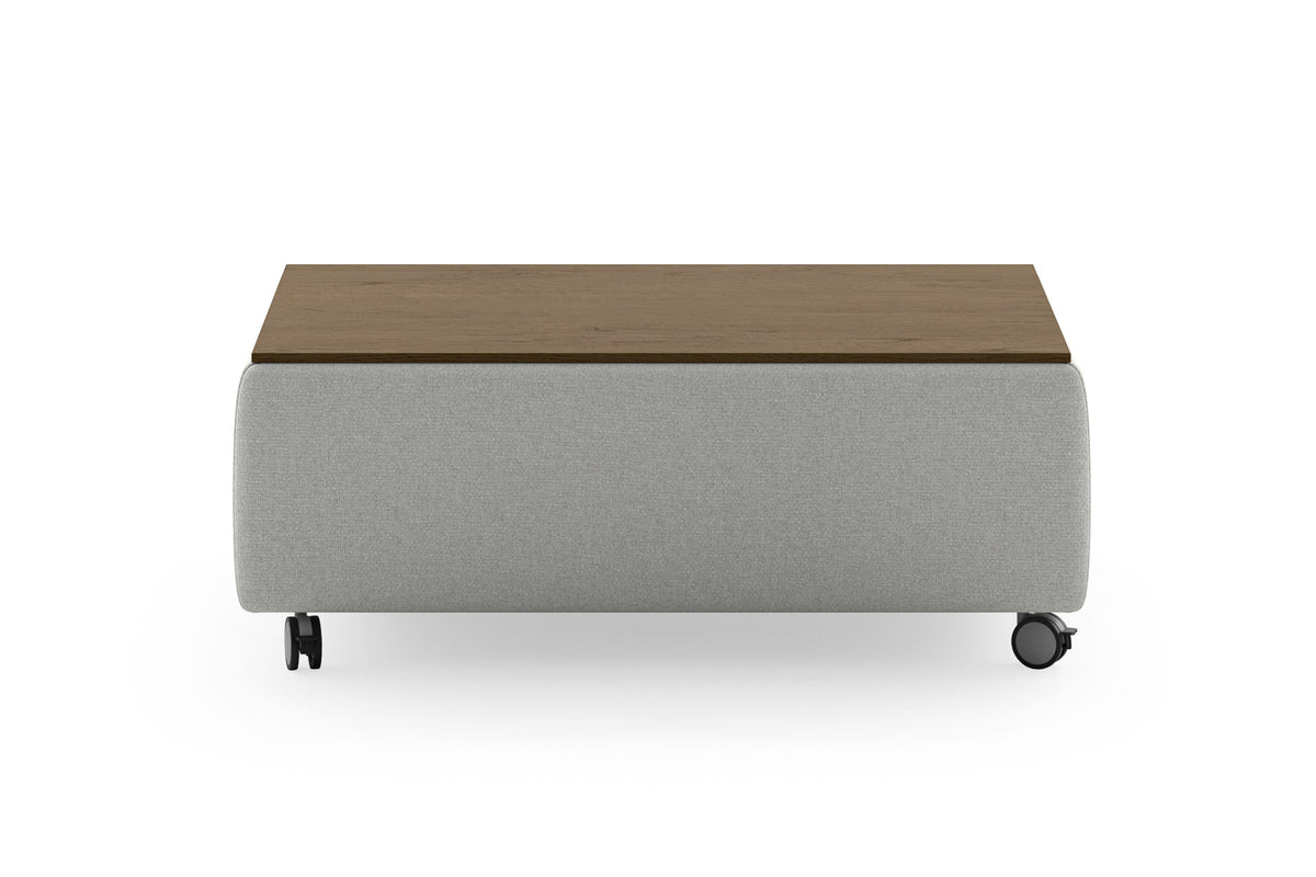 Luonto Functional Coffee Table