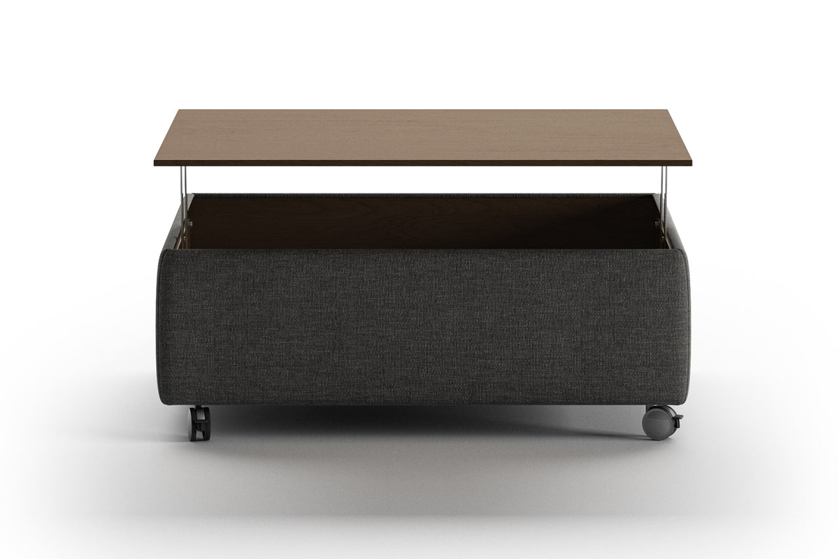 Functional Function Coffee Table