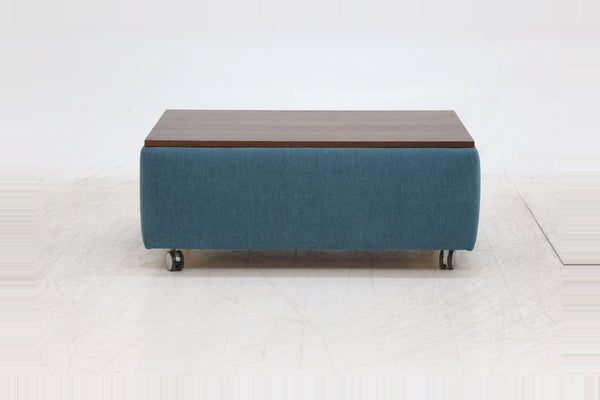 Sleeper: Nico · Size: Queen · Fabric: Rodeo 514 · Leg: Walnut