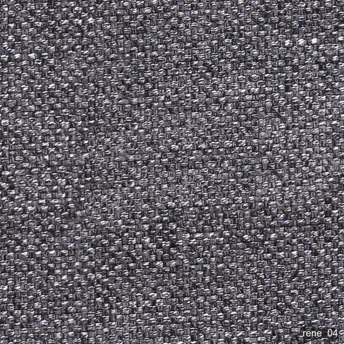 Luonto Rene 04 Zodiac swatch